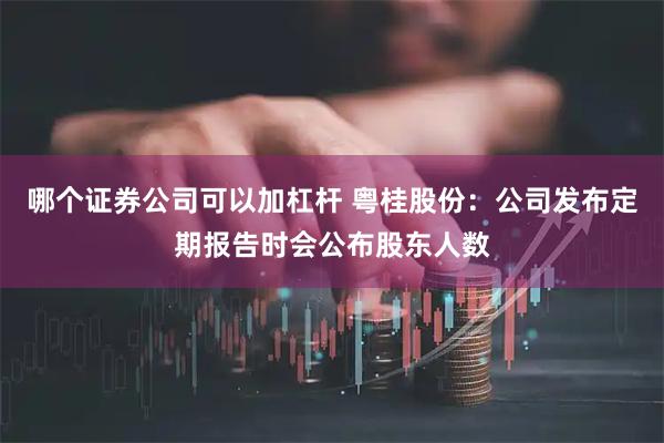 哪个证券公司可以加杠杆 粤桂股份：公司发布定期报告时会公布股东人数