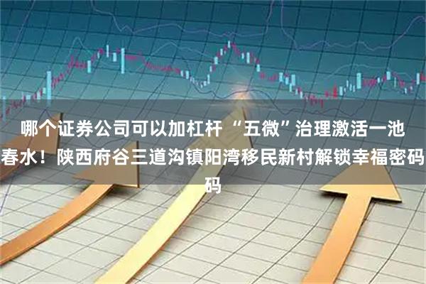 哪个证券公司可以加杠杆 “五微”治理激活一池春水!陕西府谷三道沟镇阳湾移民新村解锁幸福密码