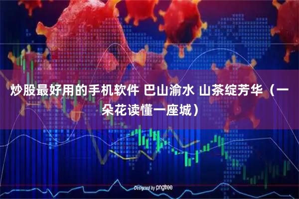 炒股最好用的手机软件 巴山渝水 山茶绽芳华（一朵花读懂一座城）